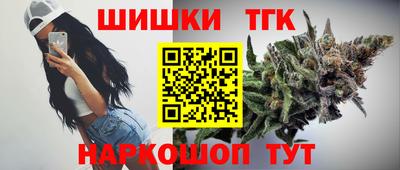 apvp Камышлов