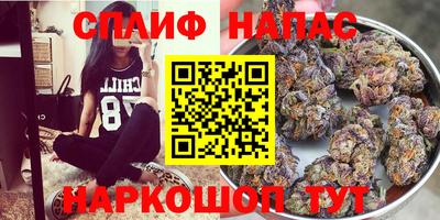 мяу мяу мука Кандалакша