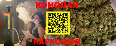 apvp Камышлов