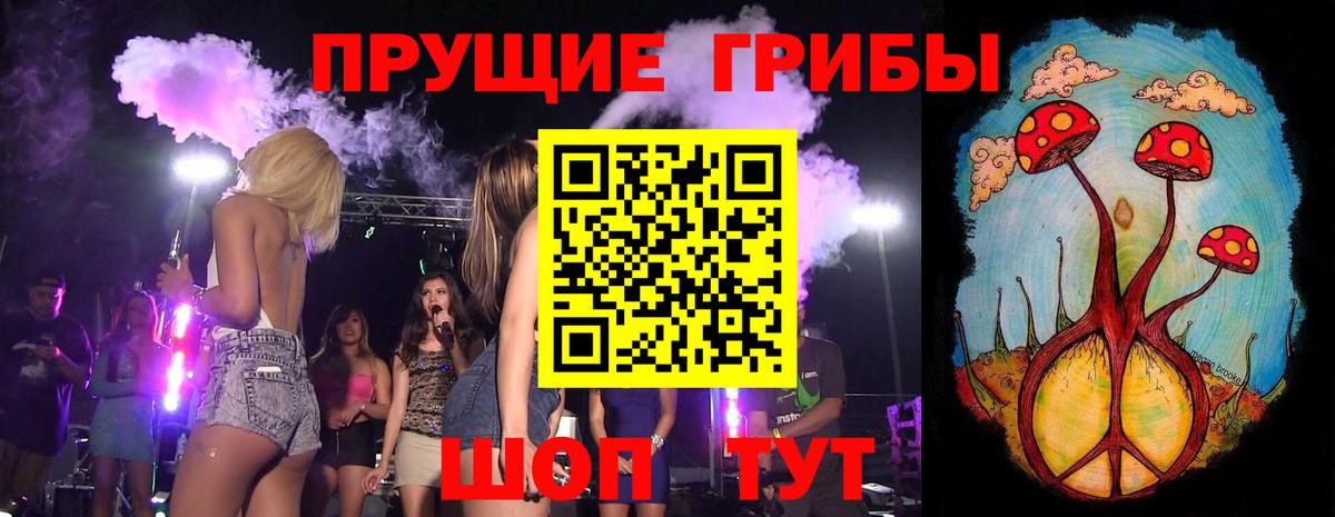 Галлюциногенные грибы Psilocybine cubensis Кострома