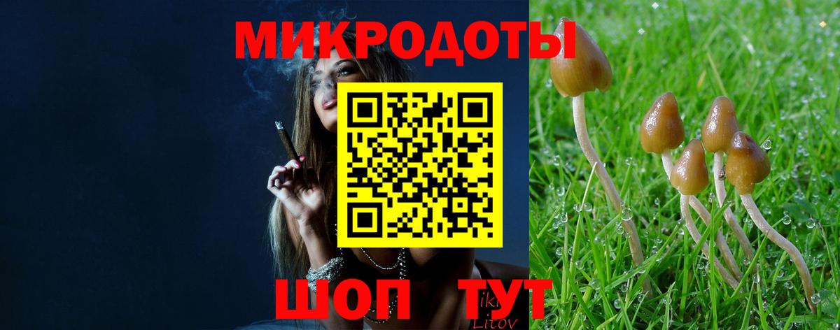 Галлюциногенные грибы прущие грибы  Вход с VPN  Кострома 